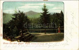 1900 Arbersee mit Kuppe (Bayerischer Wald), lake (EB)