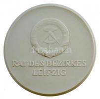 NDK 1980. "A lipcsei nemzetek csatájának emlékműve Lipcsei Kerületi Tanács" fehér kerámia ...