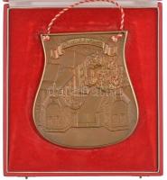 DN "Budafok-Háros" falra akasztható Br plakett akasztóval, eredeti tokban (133x143mm) T:1-