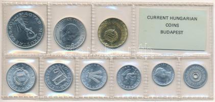 1976. 2f-10Ft (9xklf) érmés forgalmi sor fóliatokban T:1 Adamo FO9