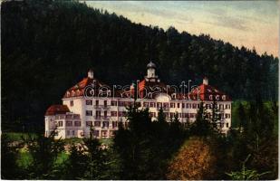 1925 Schaufling, Sanatorium Hausstein (EK)