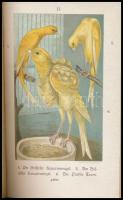 Karl Russ: Der Kanarienvogel. Seine Naturgeschichte, Pflege und Zucht. Magdeburg, 1901 Creutz's...