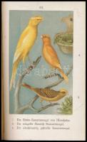 Karl Russ: Der Kanarienvogel. Seine Naturgeschichte, Pflege und Zucht. Magdeburg, 1901 Creutz's...