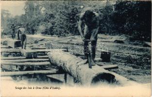 Sciage des bois a Orno (Cote dIvoire) / African folklore, sawing wood in Orno (from postcard booklet) (EK)