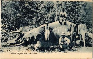 Chasse a léléphant a la Cote dIvoire / African folklore, Elephant hunting in Ivory Coast (from postcard booklet)