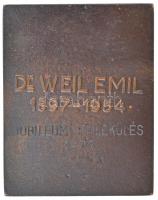 Beck András (1911-1985) 1977. "Dr. Weil Emil 1897-1954, Jubileumi emlékülés 1977" öntött B...
