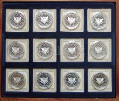 NSZK "Az USA elnökei" sorozat, benne 24db színezüst emlékérem, 24x 15g T:PP Tanúsítvánnyal...