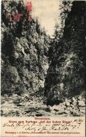 1906 Szebenjuharos, Hohe Rinne, Paltinis (Nagyszeben, Sibiu); Zibinsklamm / völgy / valley (EK)