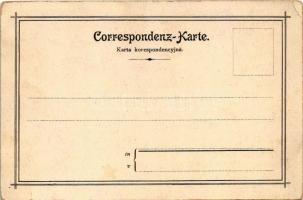 Jaroslaw, Jaroslau, Yareslov; Ratusz / Rathaus / town hall. Herman Aker Art Nouveau, floral, litho (...