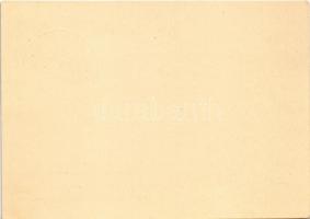 Festpostkarte zum Reichsparteitag / Nuremberg Rally, NSDAP German Nazi Party propaganda, swastika fl...