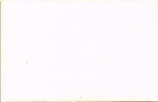 Szilágysomlyó, Simleu Silvaniei; Braseria Bradet / étterem és söröző / brasserie, inn. photo (non PC...