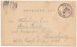 1899 (Vorläufer) Tarcsa, Tatzmannsdorf; Miksa-forrás, Gyógytér és Károly-forrás, Gyógyudvar, Forrás ...