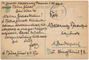 1918 Tátra, Vysoké Tatry; Zergék a Magas-Tátrában / Gemsen / chamois (EK)