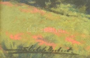 Sztelek Norbert (1884-1956): Nagybánya látképe. Pasztell, karton, jelzett, üvegezett, sérült keretbe...