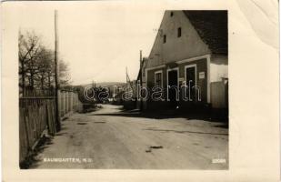 1943 Baumgarten, street view (EB)