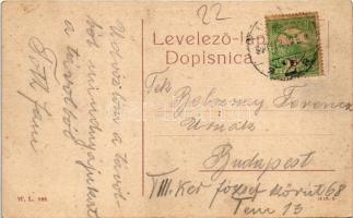 1909 Zimony, Semlin, Zemun; Fő utca. W.L. 898. / Glavna ulica / main street (EK)