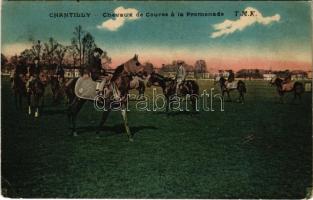 1927 Chantilly, Chevaux de Course a la promenada / racing horses (EK)