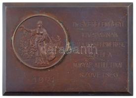 1921. "Dr. Szerelemhegyi Tivadarnak hálája és elismerése jeléül a Magyar Athletikai Szövetség - 1921" Br plakett (84x61mm) T:2