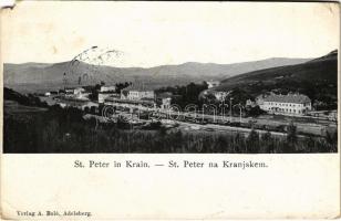 1915 Pivka, St. Petra na Krasu, San Pietro del Carso, St. Peter in Krain; Bahnhof / railway station, train. Verlag A. Bolé (EM)