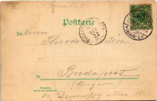 1895 (Vorläufer!!) Offenbach am Main, Schloss v. d. Mainseite, Marktplatz, Kunstgewerbeschule, Alice...