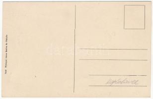 Kaplat, Kaplath, Koplotovce; Friedeczky kastély belső. Wykopal János kiadása / castle interior