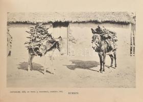 cca 1888 The Mexican International Railway Views. Series No. I. Laredo, 1888, Thos. J. Cockrell [Tho...