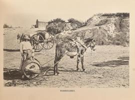 cca 1888 The Mexican International Railway Views. Series No. I. Laredo, 1888, Thos. J. Cockrell [Tho...