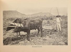 cca 1888 The Mexican International Railway Views. Series No. I. Laredo, 1888, Thos. J. Cockrell [Tho...