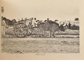 cca 1888 The Mexican International Railway Views. Series No. I. Laredo, 1888, Thos. J. Cockrell [Tho...