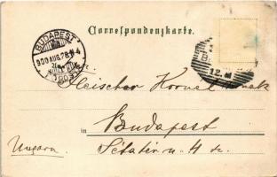 1900 Bregenz, Gruss aus... Bregenz liegt am Bodensee, Wer's nicht glaubt, geh' selbst und ...