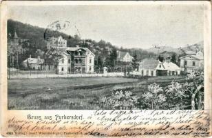 1902 Purkersdorf, general view, villa. Verlag Josef Wintersberger (EK)
