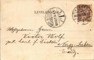 1900 Szeged, Közművelődési palota. Schmidt Edgar (EK)