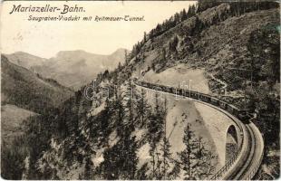 1910 Mariazeller Bahn, Saugraben Viadukt mit Reitmauer Tunnel / railway tunnel, locomotive, train (Rb)