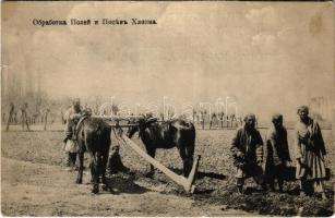 Orosz mezőgazdasági munka, szántóföldi talajművelés és gyapotültetés / Russian folklore, field tillage and cotton planting (kis szakadás / small tear)