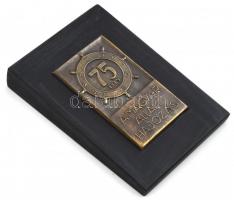 1970. "75 éves a Magyar Állami Hajózás 1895-1970" Br lemezplakett (80x49mm) fa talapzaton ...