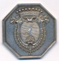 1787. "Pálffy Károly Jeromos gróf tiszteletére" Ag zseton. "CHARLES JEROME - COMTE DE...