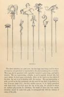 A[lexis] Soyer: The Gastronomic Regenerator : a simplified and entirely new system of cookery with n...