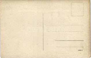 Mariazellerbahn, Mariazeller Bahn; im Gösinggraben / railway bridge, viaduct, train. J. Koss (Mariaz...