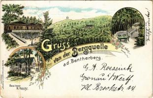 1901 Benthe, Gruss von der Bergquelle a. d. Bentherberg (Besitzer H. Hecht) Art Nouveau, floral, litho (b)