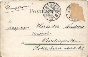 1900 Berlin, Neuer Markt, Luthersdenkmal. litho (EB)