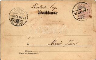 1899 (Vorläufer) Riesa, Albertplatz mit Aichamt (Rb)