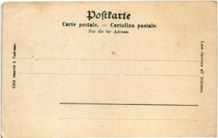 Lugano, Lugano liegt am Luganersee... frog choir (EB)