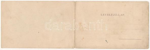 Borszék, Borsec; látkép, nyaralók. Soós kiadása. 2 részes kinyitható panorámalap / general view, vil...