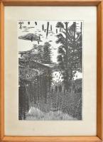 Gy. Szabó Béla (1905-1985): Lelac Rouge, 1967. Fametszet, kézi levonat, papír, jelzett. Üvegezett fa keretben, 43x30 cm