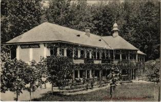 1909 Szovátafürdő, Baile Sovata; Bercsényi szálloda. Erdélyi Simon kiadása / hotel + SÓVÁRAD - BALÁZSFALVA 266. SZ. vasúti mozgóposta bélyegző