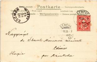 1900 Greeting card with clover and ladybugs. litho (fl)