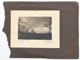 1930 Janovits? jelzéssel: Kevélyek, művészfólián keresztül készült fotó, jelzett, albumlapra ragasztva, 6x8 cm