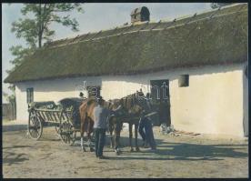 cca 1930 Falusi udvar, kézzel színezett fotó, 16×23 cm