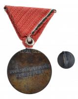 1959. "Tanácsköztársasági Emlékérem" ezüstözött bronz kitüntetés, mellszalaggal, miniatűrr...