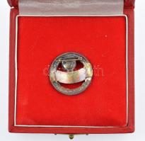 ~1970. "Tanácsi Munkáért - Tolna (ezüst fokozat)" műgyantás, ezüstözött kitüntető jelvény ...